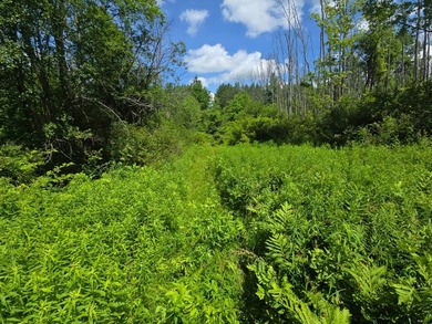 Affordable Parcel perfect for cabin or home site. 21+ acres to - photo 6