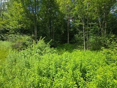 Affordable Parcel perfect for cabin or home site. 21+ acres to - photo 7