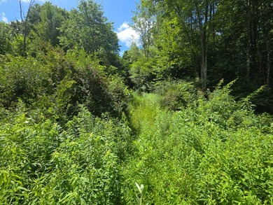 Affordable Parcel perfect for cabin or home site. 21+ acres to - photo 8
