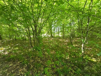 Affordable Parcel perfect for cabin or home site. 21+ acres to - photo 10