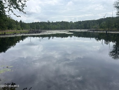 (private lake, pond, coastal) Acreage For Sale in Rockingham North Carolina