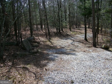 Lot 5 - Stunning large 2.82 acre Lakefront lot! This lot - photo 2