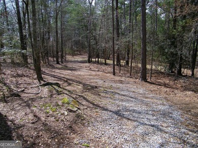 Lot 5 - Stunning large 2.82 acre Lakefront lot! This lot - photo 3