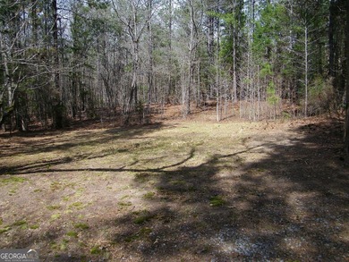 Lot 5 - Stunning large 2.82 acre Lakefront lot! This lot - photo 4