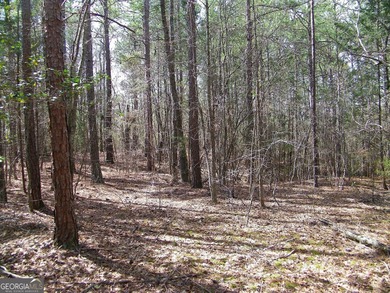 Lot 5 - Stunning large 2.82 acre Lakefront lot! This lot - photo 5