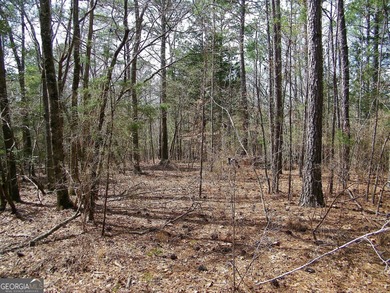 Lot 5 - Stunning large 2.82 acre Lakefront lot! This lot - photo 6