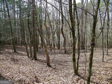 Lot 5 - Stunning large 2.82 acre Lakefront lot! This lot - photo 7