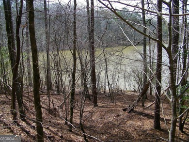 Lot 5 - Stunning large 2.82 acre Lakefront lot! This lot - photo 8