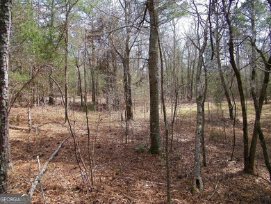 Lot 5 - Stunning large 2.82 acre Lakefront lot! This lot - photo 9