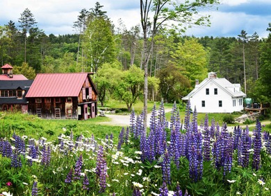 (private lake, pond, creek) Home For Sale in Londonderry Vermont