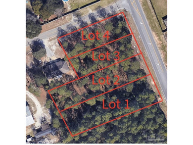 Buildable Corner Lot 4! No Wetlands, No HOA, and no restrictive - photo 2