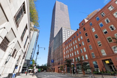 Lake Condo For Sale in Chicago, Illinois