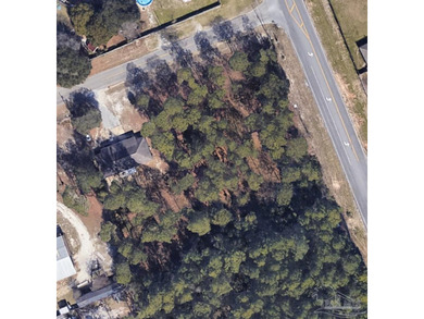 Buildable Lot 3! No Wetlands, No HOA, and no restrictive - photo 1