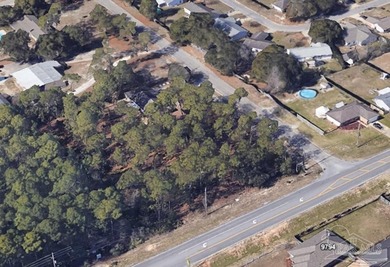 Buildable Lot 3! No Wetlands, No HOA, and no restrictive - photo 4