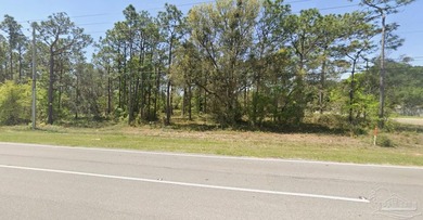 Buildable Lot 2! No Wetlands, No HOA, and no restrictive - photo 6