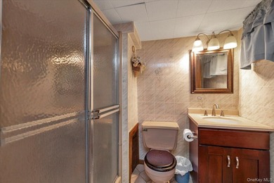 Lovely Expanded & Renovated Detached Home on a Corner Property - photo 19