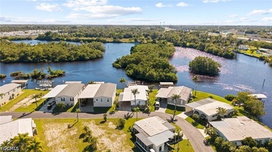 Do you want to see Manatee outside your backyard? This - photo 22