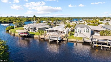 Do you want to see Manatee outside your backyard? This - photo 25