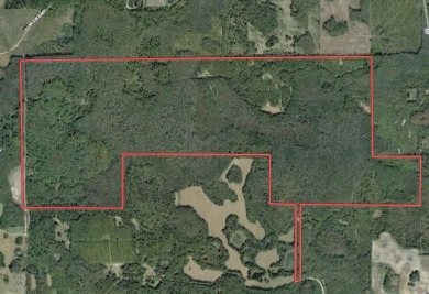 (private lake, pond, creek) Acreage For Sale in Greenville Florida