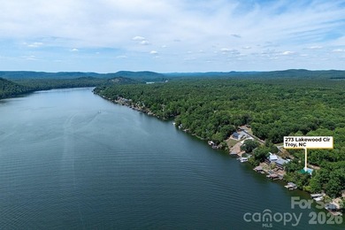 Wake up to breathtaking main channel views of Lake Tillery and - photo 43