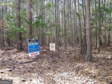 Lake Russell Acreage For Sale in Elberton Georgia