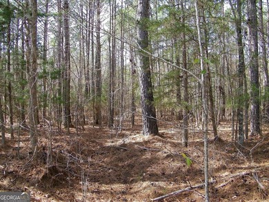 Lot 10 - Huge 4.34 ac creek-front lot extending over 1000 feet - photo 3
