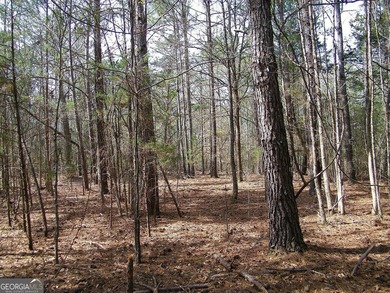Lot 10 - Huge 4.34 ac creek-front lot extending over 1000 feet - photo 4