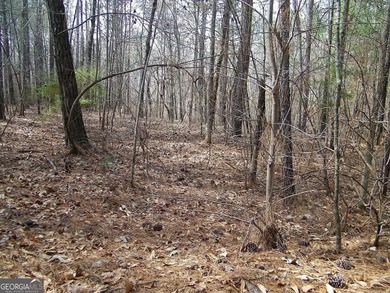 Lot 10 - Huge 4.34 ac creek-front lot extending over 1000 feet - photo 5