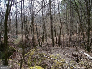 Lot 10 - Huge 4.34 ac creek-front lot extending over 1000 feet - photo 6