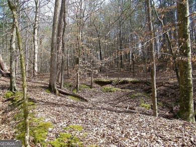 Lot 10 - Huge 4.34 ac creek-front lot extending over 1000 feet - photo 7