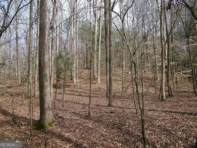 Lot 10 - Huge 4.34 ac creek-front lot extending over 1000 feet - photo 8