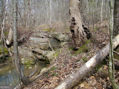 Lot 10 - Huge 4.34 ac creek-front lot extending over 1000 feet - photo 10