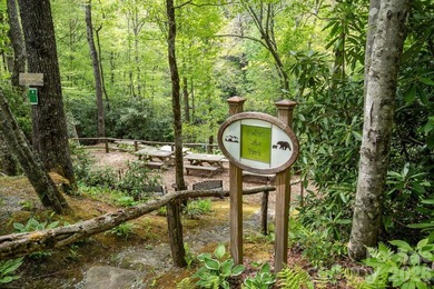 LAKEFRONT living and mountain tranquility in this beautifully - photo 48