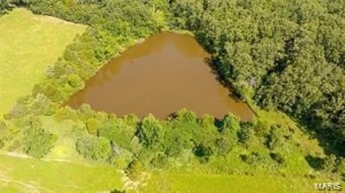 Lake Acreage For Sale in Owensville, Missouri