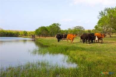 The Post Oak Ranch is a stunning 186.5 +/- acre property nestled - photo 8
