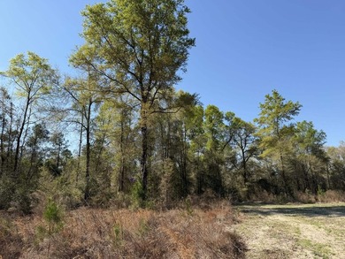 5.13 ac - Georgetown, SC Looking for a quiet place in the - photo 11