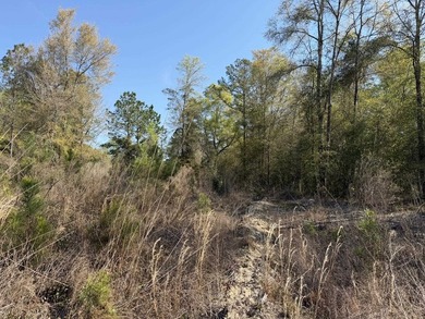 5.13 ac - Georgetown, SC Looking for a quiet place in the - photo 12
