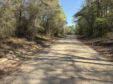 5.13 ac - Georgetown, SC Looking for a quiet place in the - photo 13