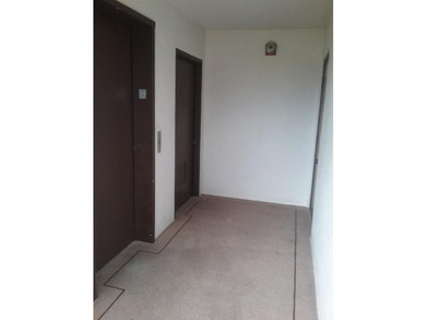 Rarely available Executive Model. Largest 1 bdr penthouse condo - photo 14