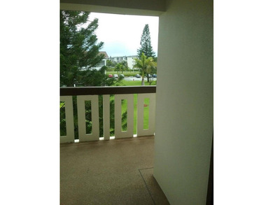 Rarely available Executive Model. Largest 1 bdr penthouse condo - photo 16