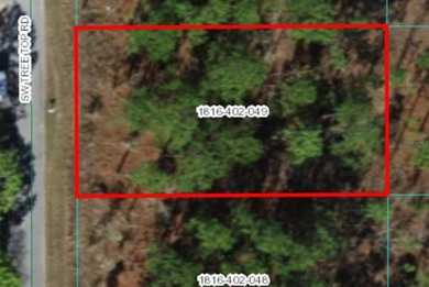 Bonable Lake Lot For Sale in Dunnellon Florida