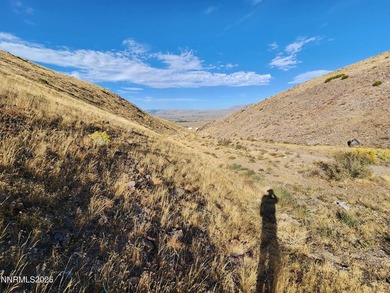 Fantastic view from the top of hill overlooking Palomino Valley - photo 5