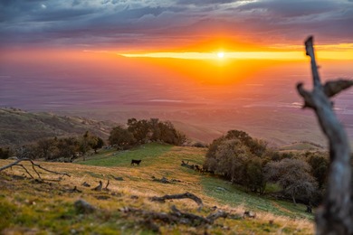 Located near Bear Valley Springs, the Black Oaks Ranch is a - photo 6