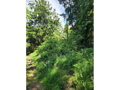 Crescent Lake - Tillamook County Lot For Sale in Rockaway Beach Oregon