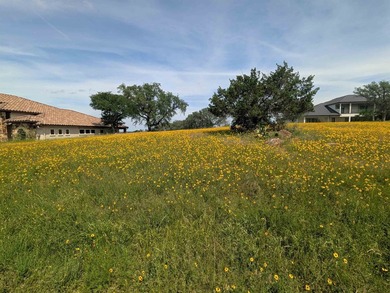 Take in the VIEWS....from Lake LBJ to Apple Rock golf course - photo 8