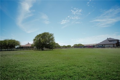 Country living meets modern efficiency at 6971 Buddy Ganem Drive - photo 6