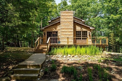 Nestled in the heart of Massanutten, this charming cabin offers - photo 2