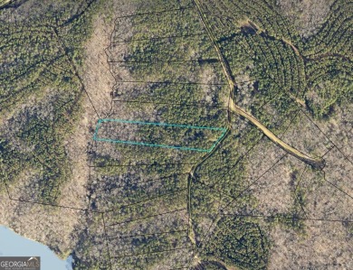 Lake Russell Acreage For Sale in Elberton Georgia
