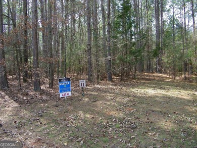 Lot 11 - Magnificent 4.88 acre lot with over 240 feet of road - photo 2