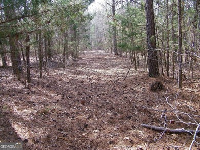 Lot 11 - Magnificent 4.88 acre lot with over 240 feet of road - photo 3
